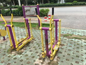 与体育健身器材分享