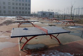 珠海乒乓球台公司,中山乒乓球台公司,江门乒乓球台公司