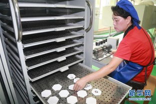 驻朝鲜使团和国际机构代表参观体育器材厂和食品厂 组图