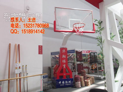 篮球架 篮球架厂家 海兴县华翔体育器材厂 王洁图片