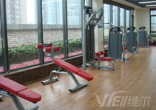 塑胶跑道建设优选企业 多图